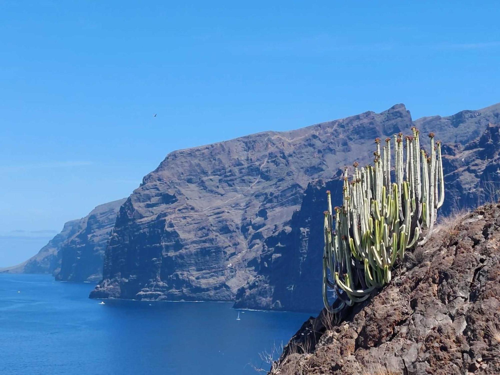 Appartamento Mareverde Centrale Vicino Al Mare Ma Costa Adeje  Exterior foto